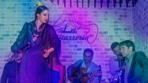 <p>La Guitarrería, espectacular tablao flamenco en el centro de Alicante. Disfruta de la pasión, la fuerza y la garra del tablao de Félix Amador y Maima Gea</p>