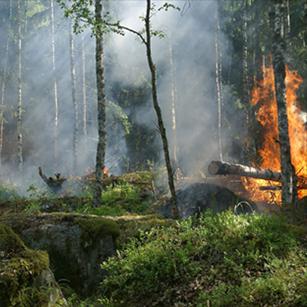 307-307medio-ambiente-fuego-montes-provincia-alicante-destacado-ociomagazine-alicante.jpg