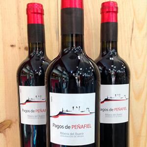 Cata de los vinos Pago de Peñafiel, organizada por Licorea