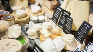 <p>Prueba la gran variedad de quesos en quesería La Trampa del Ratón, en pleno centro de Alicante. También con una  selección de vinos y cervezas artesanales. </p>