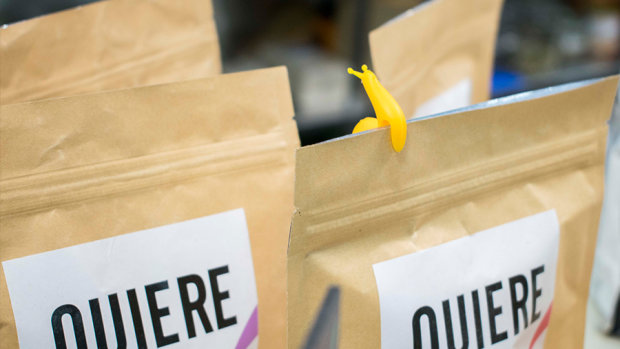 Care Food, el nuevo concepto de comida rápida y sana en Alicante
