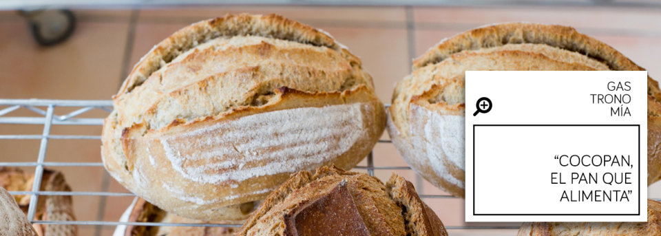 Cocopan es pan de verdad, pan que alimenta. Encuéntralo en San Juan