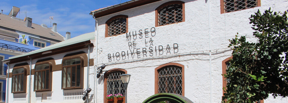 Un espacio para la concienciación: Museo de la Biodiversidad de Ibi